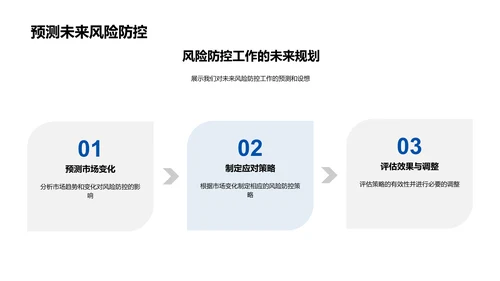 风险管理年度报告