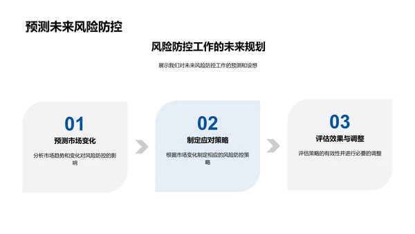 风险管理年度报告