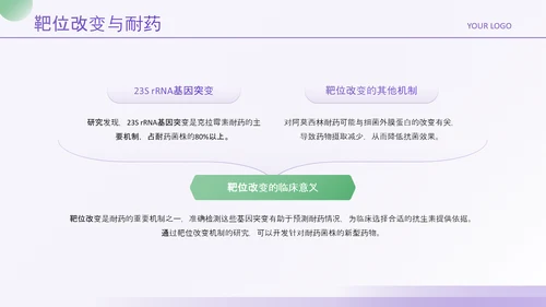 紫绿色简约风医学论文毕业答辩