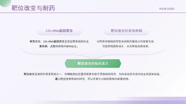 紫绿色简约风医学论文毕业答辩