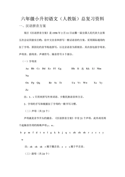 2023年六年级小升初语文人教版总复习资料.docx