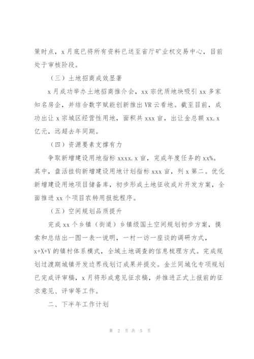 市自然资源和规划局上半年特色亮点工作和下半年自然资源发展工作.docx