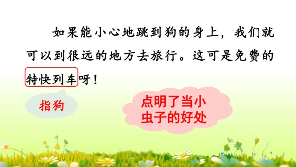 11.我是一只小虫子 课件