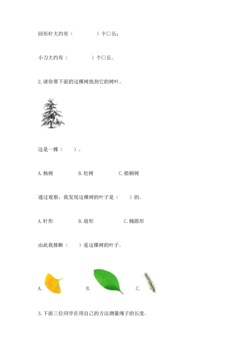 教科版科学一年级上册期末测试卷（培优）.docx