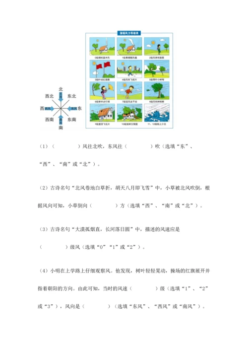 教科版三年级上册科学《期末测试卷》精品（达标题）.docx