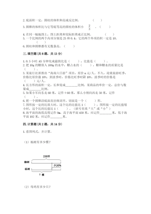 温州市瑞安市六年级下册数学期末测试卷必考题.docx