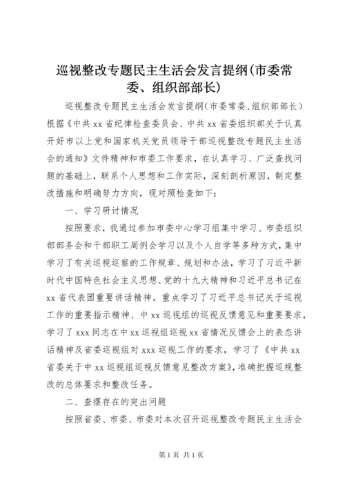 巡视整改专题民主生活会发言提纲(市委常委、组织部部长).docx