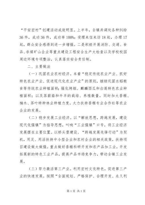 乡镇上半年经济工作总结及下半年工作计划.docx