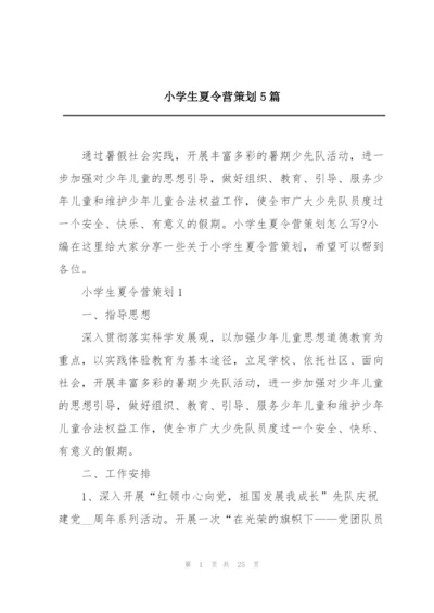 小学生夏令营策划5篇.docx