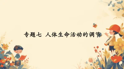 初中生物学人教版（新课程标准）七年级下册第六章综合与测试复习课件(共58张PPT)
