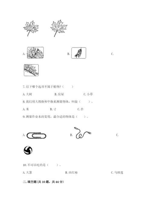 教科版一年级上册科学期末测试卷【基础题】.docx