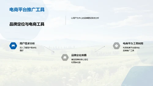 电商助力农品品牌