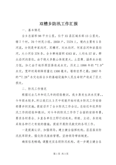 双槽乡防汛工作汇报.docx