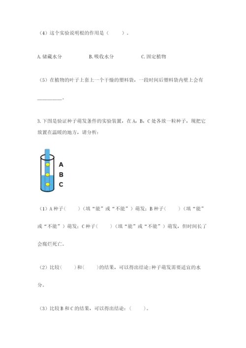 科学四年级下册第一单元植物的生长变化测试卷精品（典优）.docx
