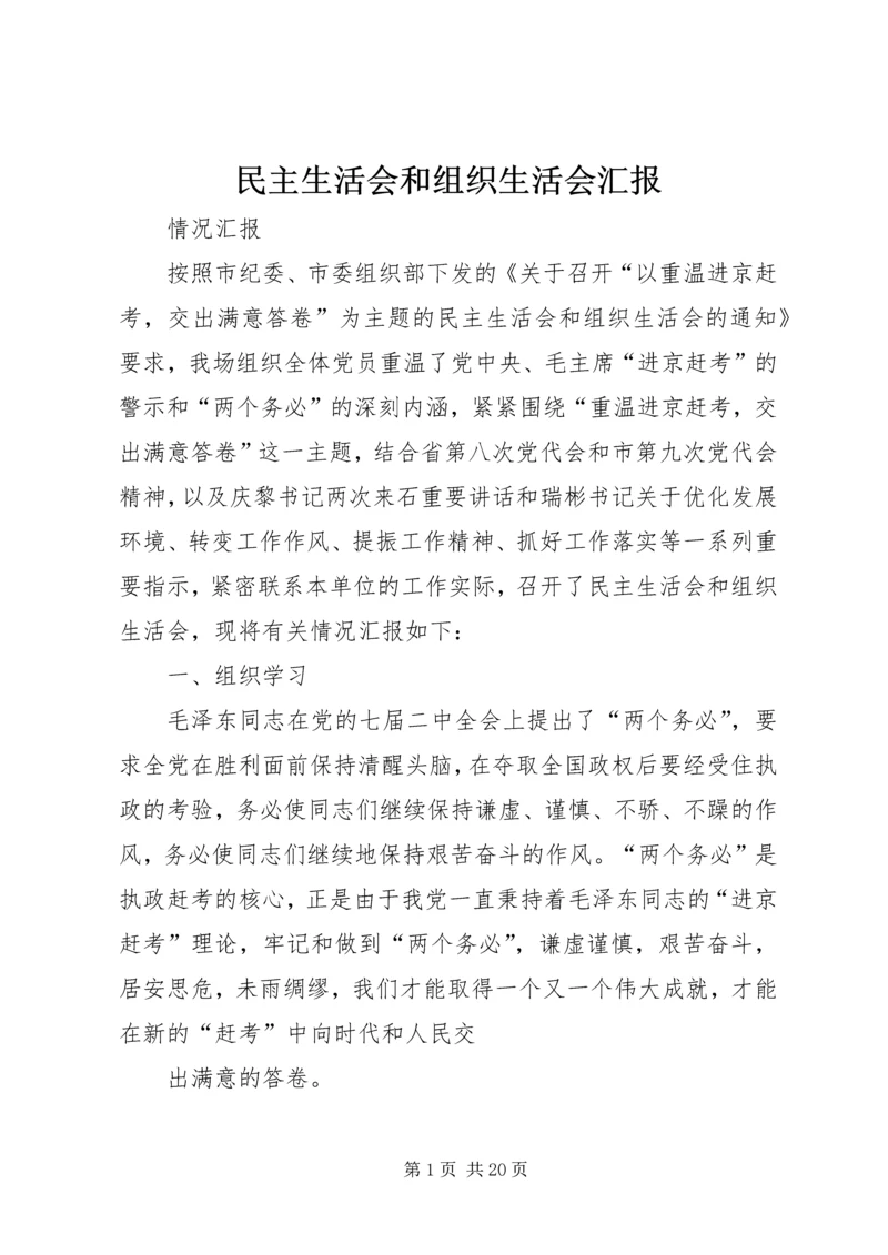 民主生活会和组织生活会汇报.docx