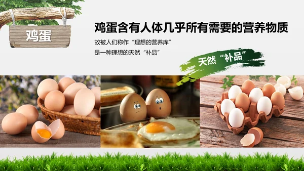 食品安全营养学饮食科普PPT模板