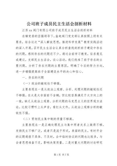 公司班子成员民主生活会剖析材料 (2).docx