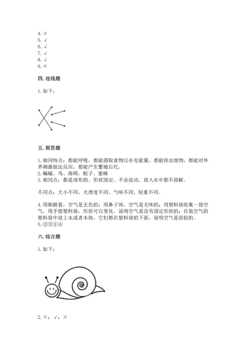 教科版一年级下册科学期末测试卷及参考答案【预热题】.docx