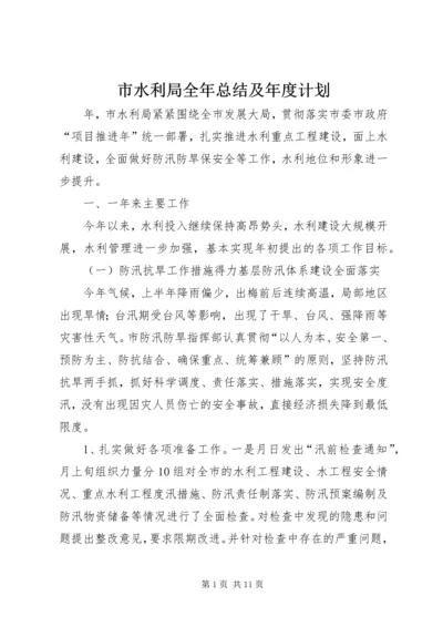 市水利局全年总结及年度计划.docx