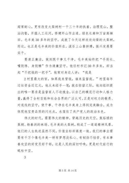 学习毛丰美实干促振兴专题研讨发言提纲.docx