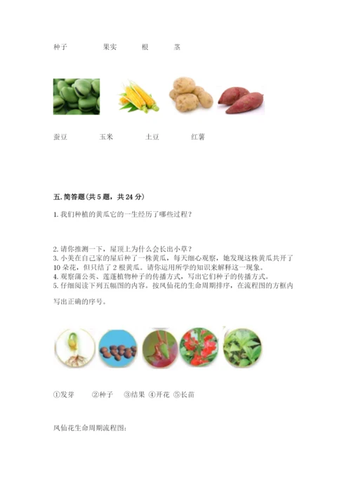科学四年级下册第一单元植物的生长变化测试卷及完整答案1套.docx