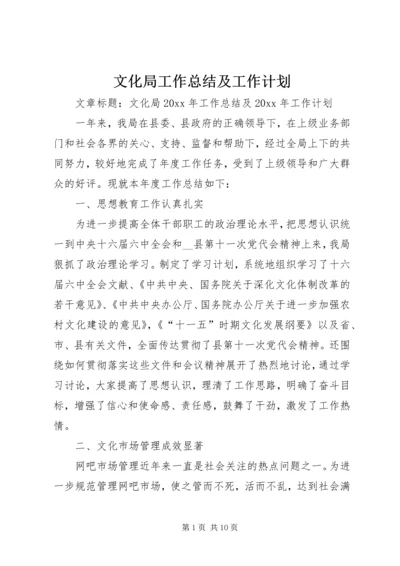 文化局工作总结及工作计划.docx