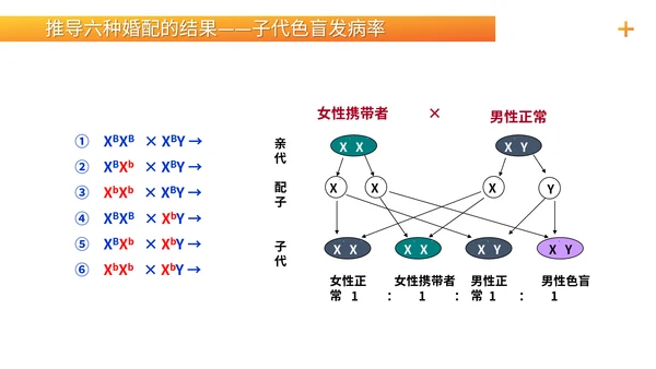 基因学伴性遗传初高中生物PPT课件