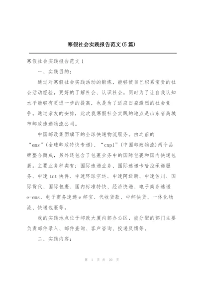 寒假社会实践报告范文(5篇).docx