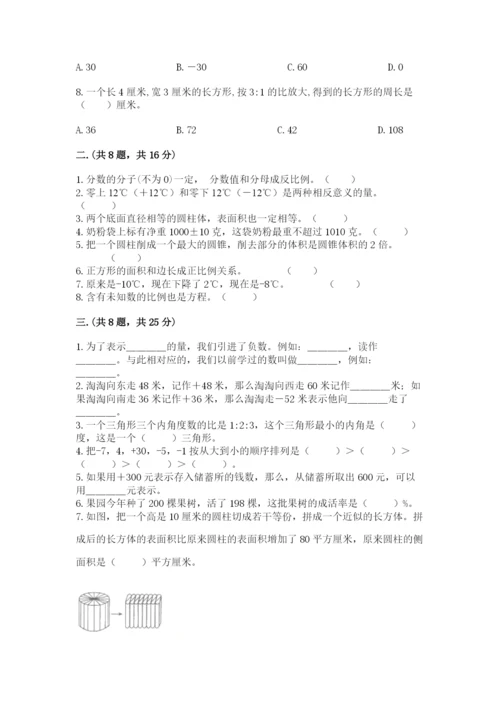 苏教版数学小升初模拟试卷附完整答案（考点梳理）.docx