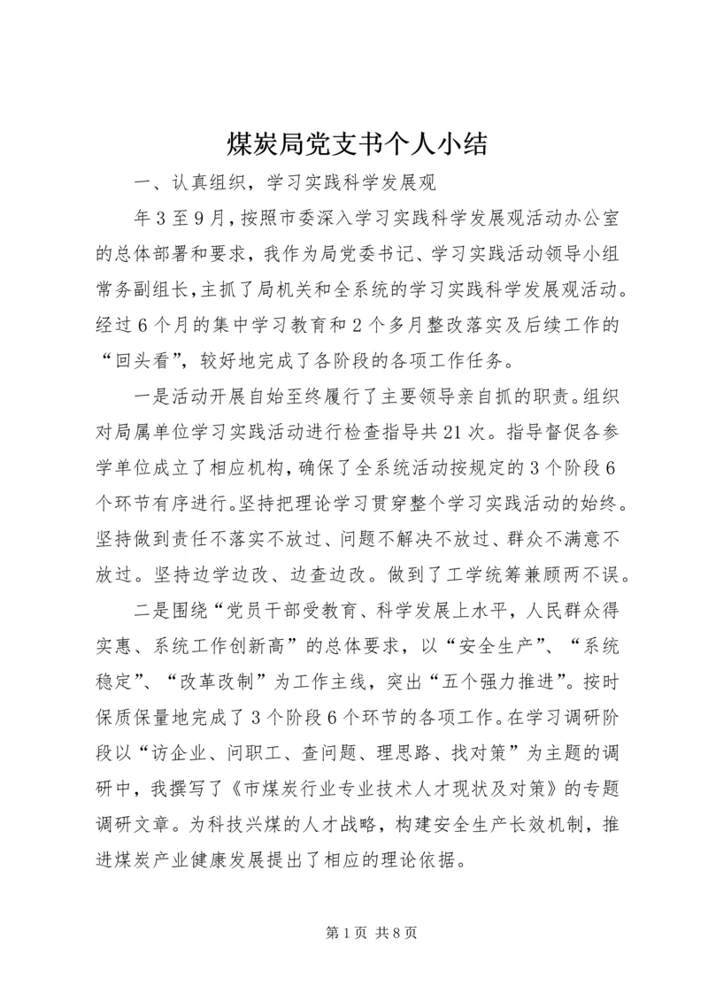 煤炭局党支书个人小结 (2).docx
