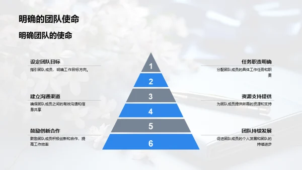 团队力量，成就未来
