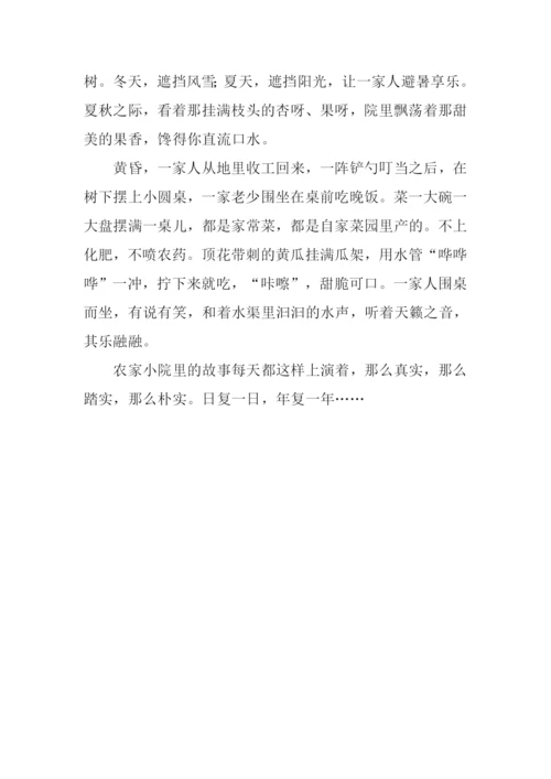 农家小院作文600字.docx