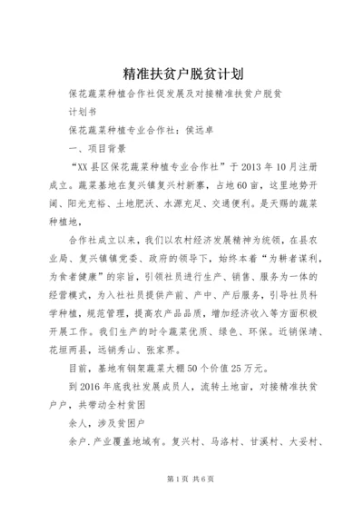 精准扶贫户脱贫计划.docx