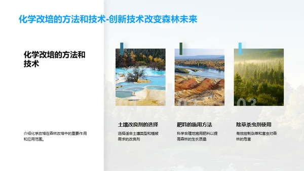 森林改培：挽救绿肺