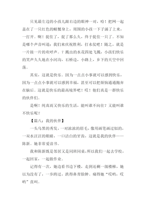 描写小伙伴的作文-1.docx
