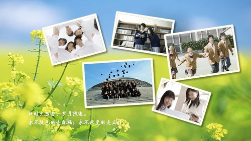 青春不散场阳光绿草通用PPT电子相册