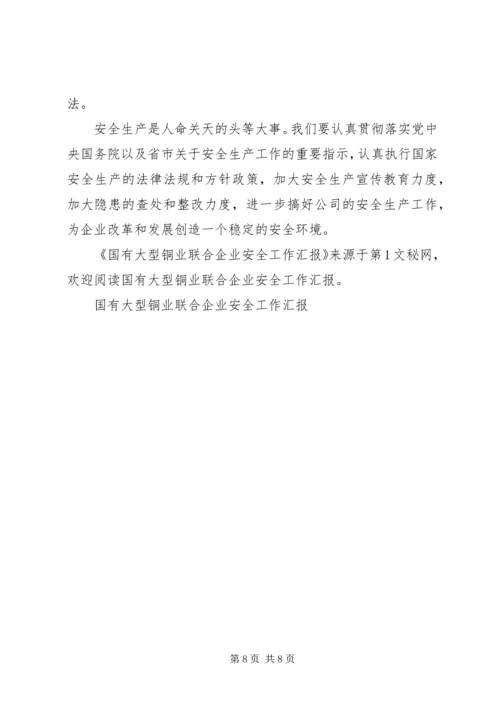 国有大型铜业联合企业安全工作汇报.docx