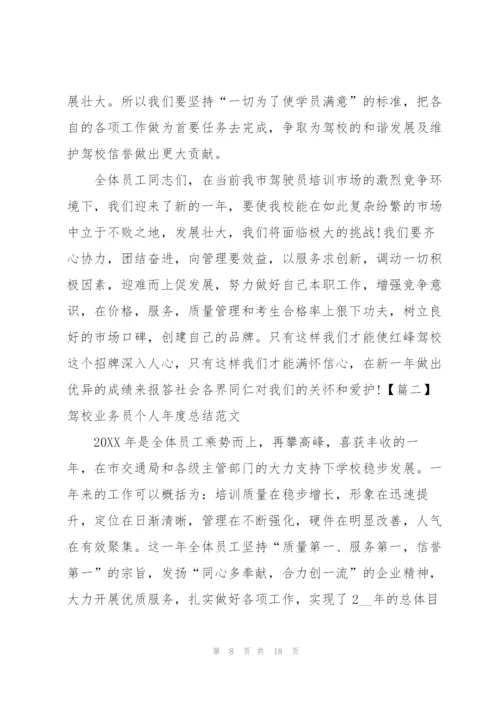 驾校业务员个人年度总结范文.docx