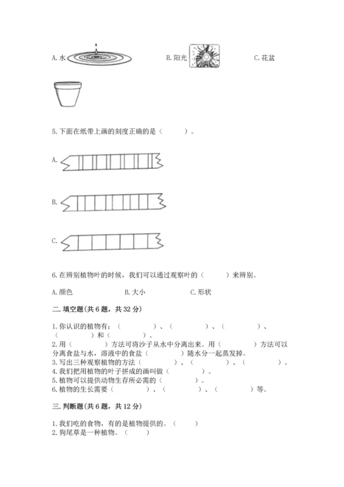 教科版科学一年级上册第一单元《植物》测试卷及完整答案（考点梳理）.docx