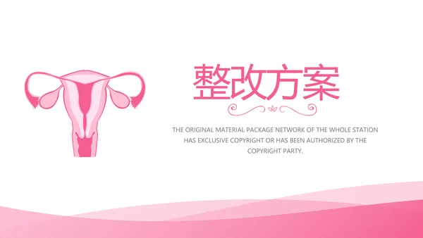 粉色简约关爱女性健康工作总结汇报动态PPT