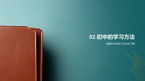 初中学习新征程