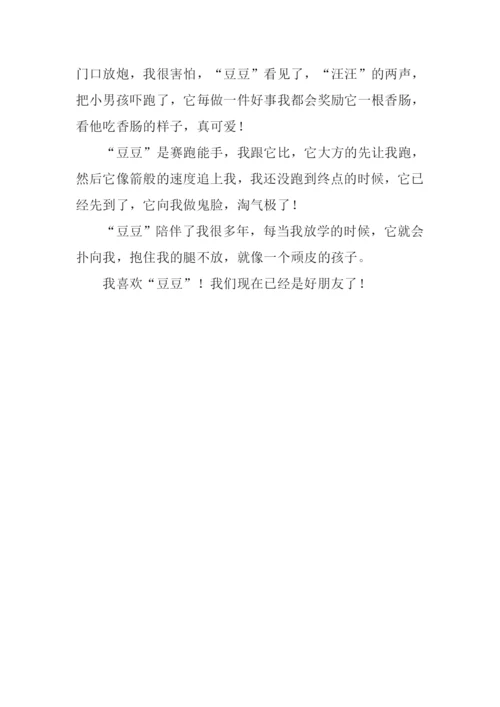 小动物的作文350字.docx