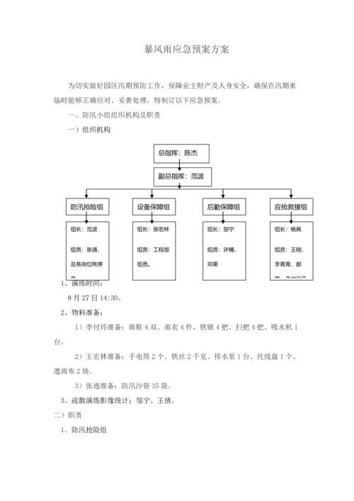 暴风雨应急专项预案专项方案.docx