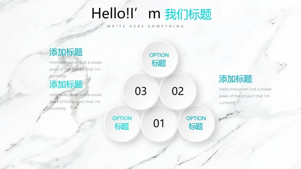 公司产品介绍宣传通用PPT动态模板