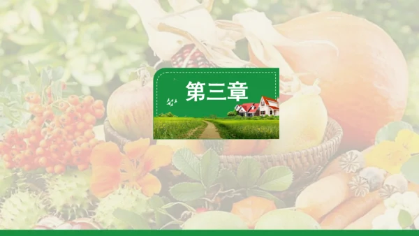 新农村和谐发展乡村振兴通用PPT模板