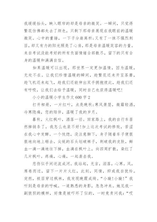 小小的温暖小学生作文600字范文.docx