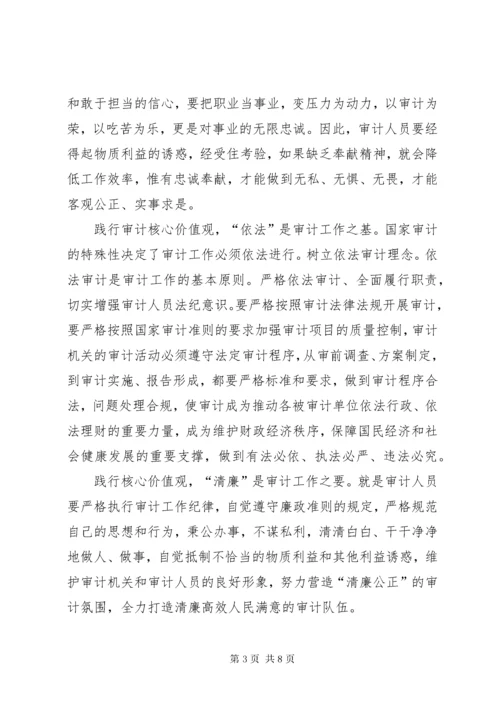 审计工作者核心价值观内涵及践行途径.docx