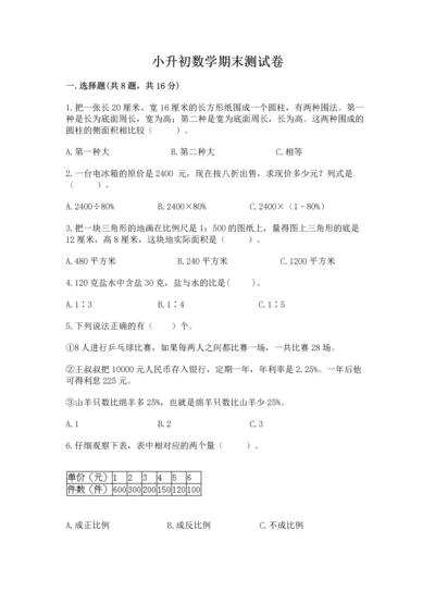 小升初数学期末测试卷审定版.docx