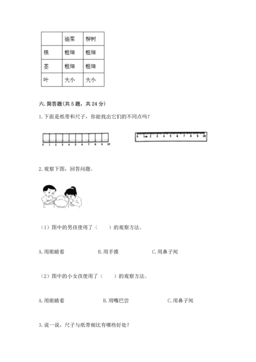 教科版一年级上册科学期末测试卷精品（完整版）.docx