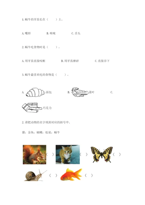 教科版一年级下册科学期末测试卷【综合题】.docx